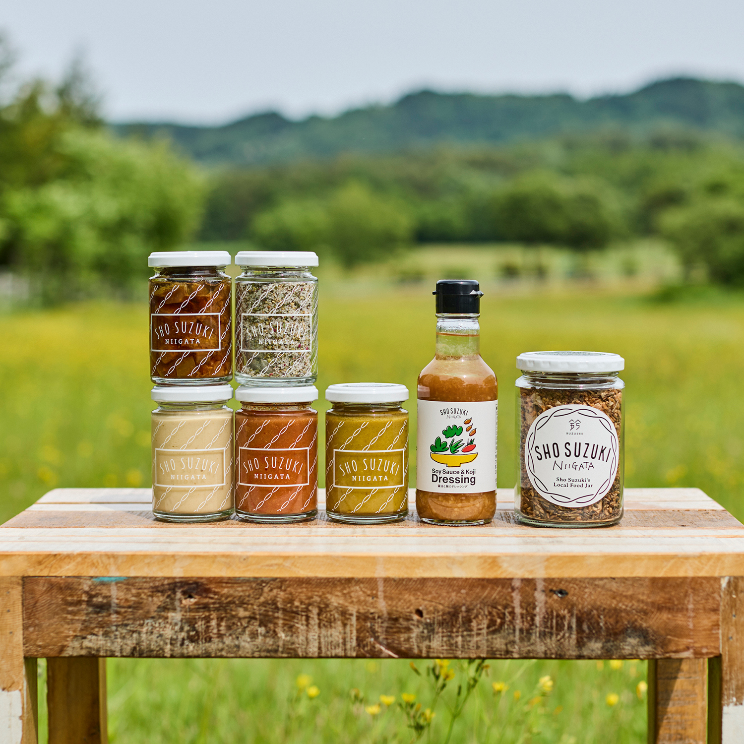 SHO SUZUKI NIIGATAシリーズ – SUZU365