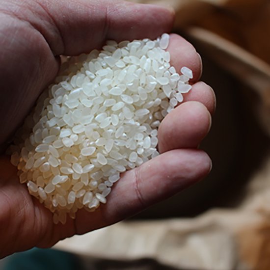 【令和6年度産】ジョンのホタルのヒカリ米/3 kg