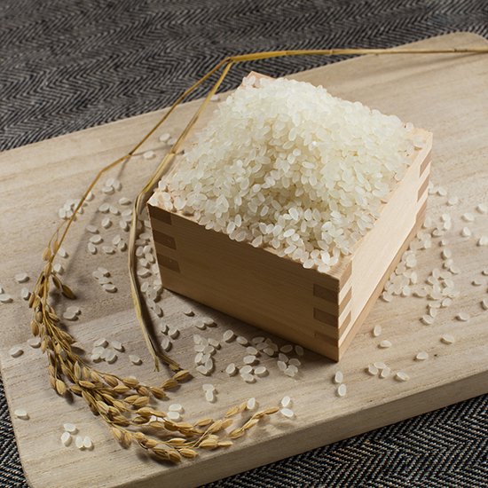 【令和6年度産】ジョンのホタルのヒカリ米/3 kg