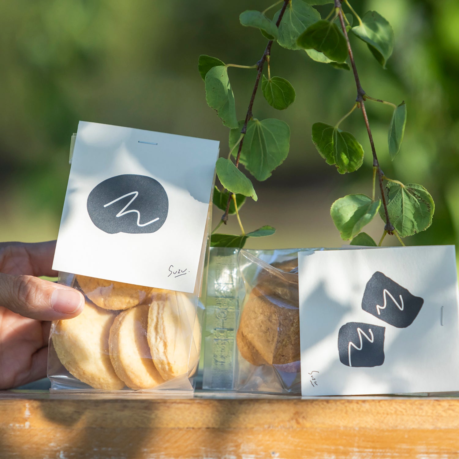 コレクション – SUZU365